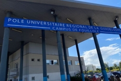 L’INRAE et l’université des Antilles unissent leurs forces pour la recherche scientifique en Guadeloupe et Martinique