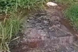 Remontées d’eaux usées à Capesterre-Belle-Eau : des investigations en cours