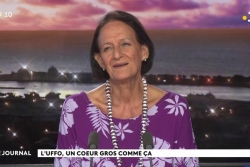 ENTRETIEN. Grâce à l'UFFO, 80 foyers bénéficient de repas de Noël 