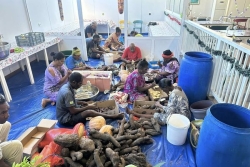 "C'est notre culture, on aimerait la partager" : le bougna du cœur rapproche les habitants de la Vallée-du-Tir au-delà des fêtes