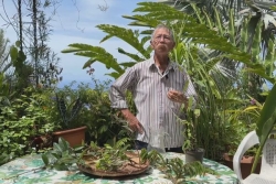 Fêtes de fin d'année : les remèdes péï de Raymond Lucas pour aider le corps à récupérer après les excès