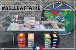 Trafic de stupéfiants et de contrefaçons : les deux auteurs principaux présumés interpellés à La Réunion