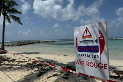 Appel à la prudence à Sainte-Anne après le signalement de prédateurs marins