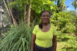 Les plantes médicinales comme remède naturel après les excès de table pendant les fêtes