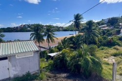 Sargasses au Robert : "On veut dire stop, ça devient invivable", les habitants du littoral sont exaspérés