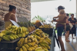 VIDÉO. “On a moins de moyens, c’est compliqué pour les fêtes”, le marché Broussard de Boulari témoin des difficultés des Calédoniens