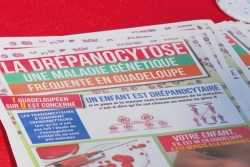 Drépanocytose : l'espoir après la guérison d'un patient américain grâce à une thérapie génique