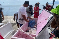 Opération "poissons du cœur", une pêche miraculeuse pour les familles modestes