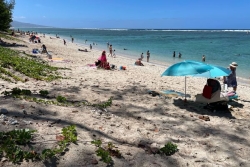 À l'Hermitage, les Réunionnais se préparent au réveillon du Nouvel An