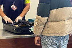 Deux mules interpellées avec plus de 30 kilos de drogue à l'aéroport Roland Garros