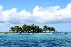 L'accès et le débarquement à l'îlet Caret interdits jusqu'au 30 juin 2026