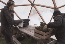 Des légumes frais même en hiver pour les bénévoles de France Nature Environnement