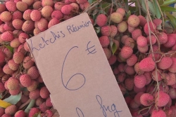 Vols de fruits dans les exploitations : des contrôles menés sur les étals de bord de route