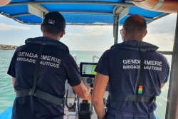 Risque requin : le préfet de La Réunion renforce les opérations de prévention et de contrôle sur le littoral et en mer 