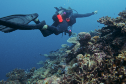 Mayotte au salon international de la plongée