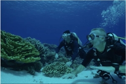 La toute première carte mondiale des fonds marins côtiers, un outil précieux pour les Outre-mer