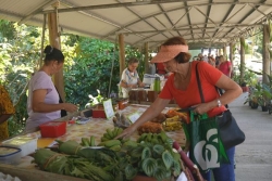 L’agenda sorties du 9 au 15 janvier 2026 : la foire aux affaires reprend, et quelques marchés