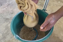 "Définir un cadre, un règlement intérieur, professionnaliser, cartographier la filière” : les projets de la Fédération des artisans du kava