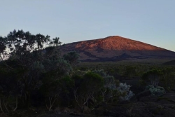 Volcan du Piton de la Fournaise : pas d'éruption mais l'activité sismique et l'inflation se poursuivent