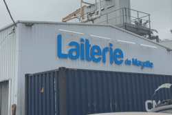 Flaques blanchâtres près de la Laiterie de Mayotte, de l'eau lactée s'échappe d'une canalisation brisée