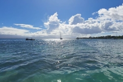 Les océans ont absorbé une quantité record de chaleur en 2025