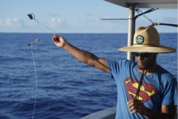 Pêche hauturière : un dispositif testé en mer pour limiter les captures accidentelles de requins