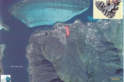 Le supermarché de Maharepa sortira-t-il de terre ? La population de nouveau appelée à s'exprimer 