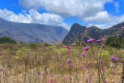 La Réunion : de la grisaille, des averses dans l'Est, du soleil dans l'Ouest ce matin et inversement l'après-midi