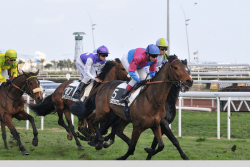 Les pronostics du Quinté de Cagnes-sur-Mer du 14 janvier 2026 par Jack Vautrin