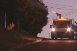 Symptômes, précautions, précédents… Ce qu'il faut savoir pour se prémunir de la dengue en Calédonie