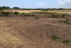 Sécheresse annoncée dans la Caraïbe pour les trois prochains mois