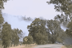 Le sud du Victoria ravagé par des incendies d’une violence extrême 