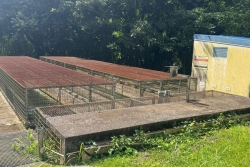 Coupures d'eau à Schœlcher : les habitants et professionnels contraints de s'adapter