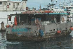 La pêche hauturière, un secteur d'avenir sous tension 