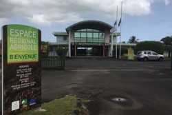 Élections à la Chambre d’agriculture de la Guadeloupe : la cour d’appel de Bordeaux confirmera-t-elle l’annulation ?