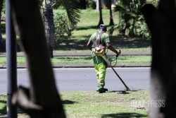 À La Réunion, l'emploi augmente légèrement dans le public et le privé fin 2025
