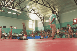 250 gymnastes attendues au PROGT de Matoury pour le championnat régional de Guyane ce samedi