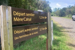 Disparition de Nicolas Aulezy : une nouvelle battue organisée à Piton Fougère, samedi