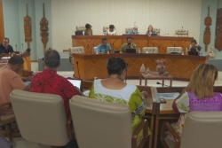 Caledonia, enseignement, nickel… Les élus de la province Nord ont voté des mesures d'urgence