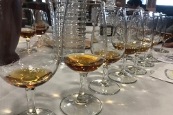 Effondrement des ventes dans l'Heaxonge : les producteurs de rhum entre inquiétude et adaptation