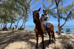 Des gendarmes à cheval pour surveiller les plages de l’Ouest de La Réunion