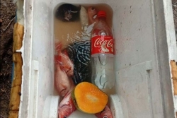 Glacière à la dérive à Moorea : des riverains s'inquiètent, pas les deux pêcheurs 