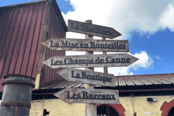 Les ventes de rhum martiniquais chutent dans l'Hexagone