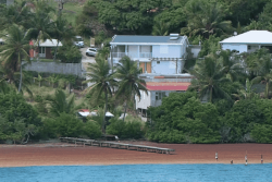 VIDEO. Sargasses en Martinique : l'immobilier touché de plein fouet