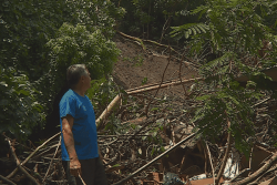Glissement de terrain à Papenoo : Edgard Tetuarii a perdu son atelier mais a la vie sauve
