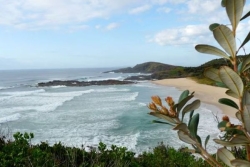 Un surfeur mordu au nord de Port Macquarie, quatrième attaque de requin en Nouvelle Galles du Sud en deux jours