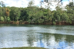 Baignade interdite à la rivière de la Dumbéa après le signalement d'un requin