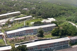 Addiction à la cocaïne : quelle prise en charge en Guadeloupe ?