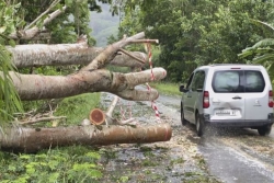 METEO. Une journée marquée par des coupures d'électricité sur la Grande Terre, après le passage de la perturbation tropicale