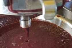 Brésil : trois décès liés à la maladie de Chagas dans la région de Belém après la consommation de jus de wassaï contaminé